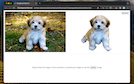 Extension Screenshot