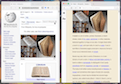 reader view extension