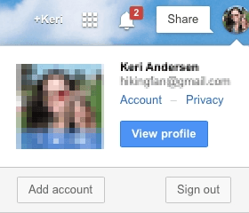login into multiple accounts