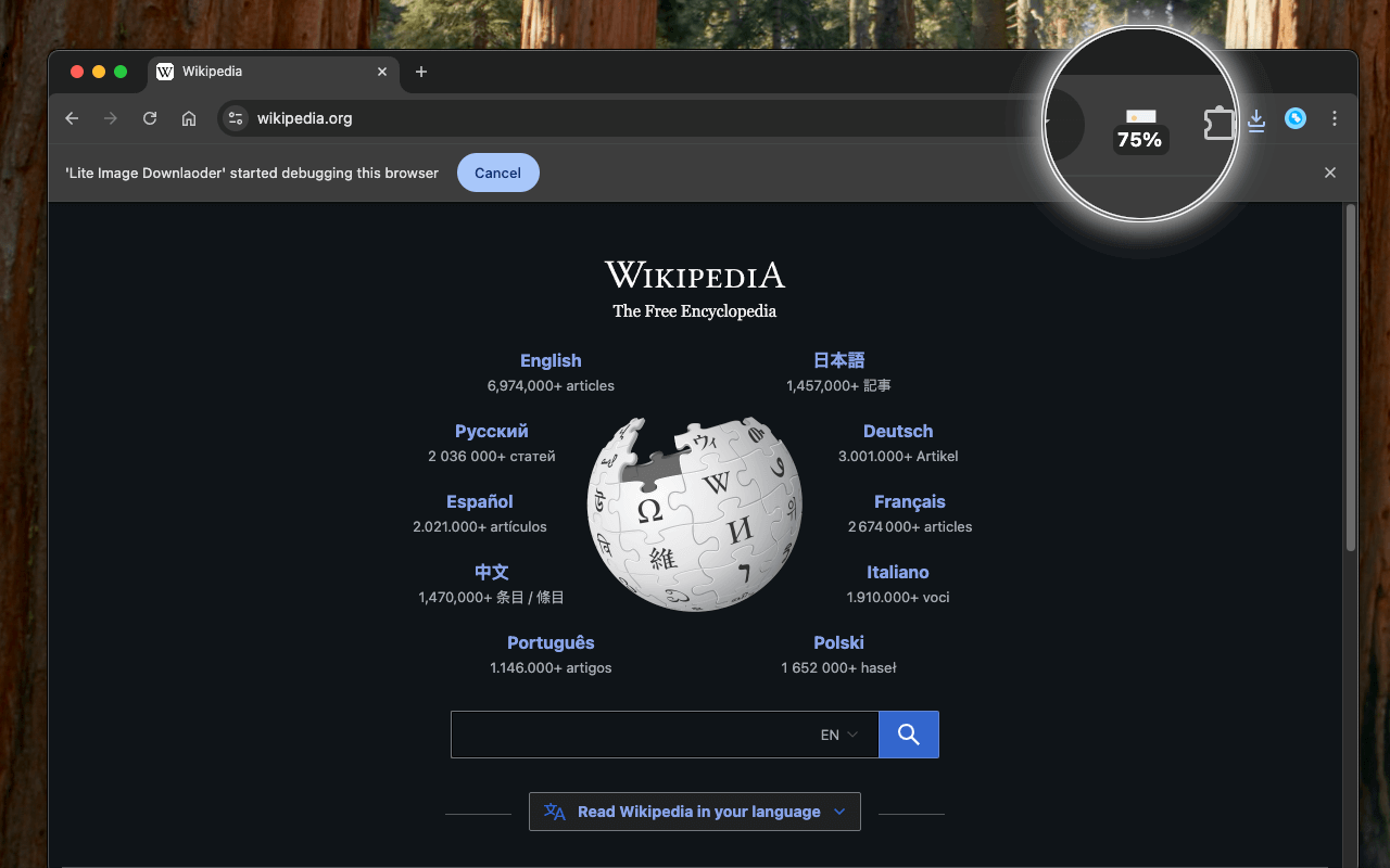download all image from url