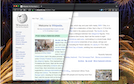 Extension Screenshot